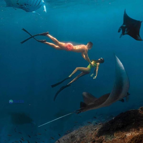 Manta-Point-Nusa-Penida-2-600x600