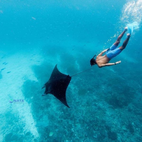 Manta-Point-Nusa-Penida-3-600x600