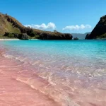pink beach komodo: What is special about it? for Your Travel