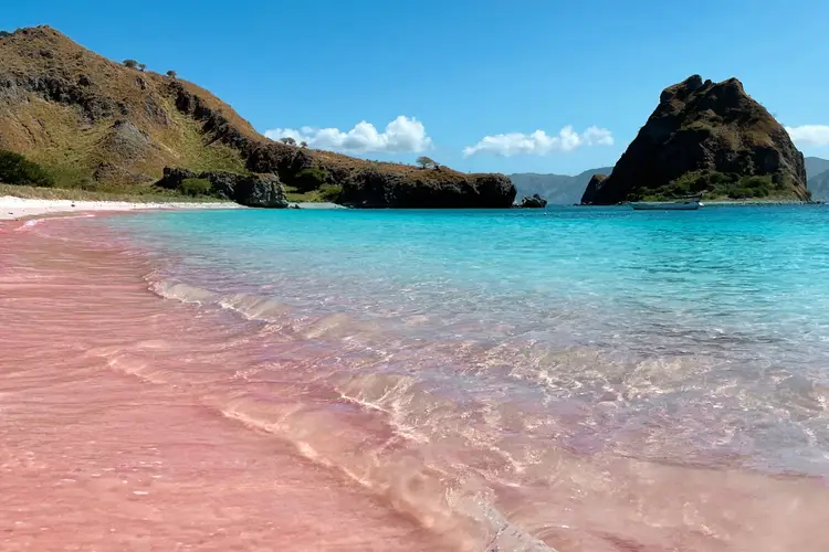 pink beach komodo: What is special about it? for Your Travel