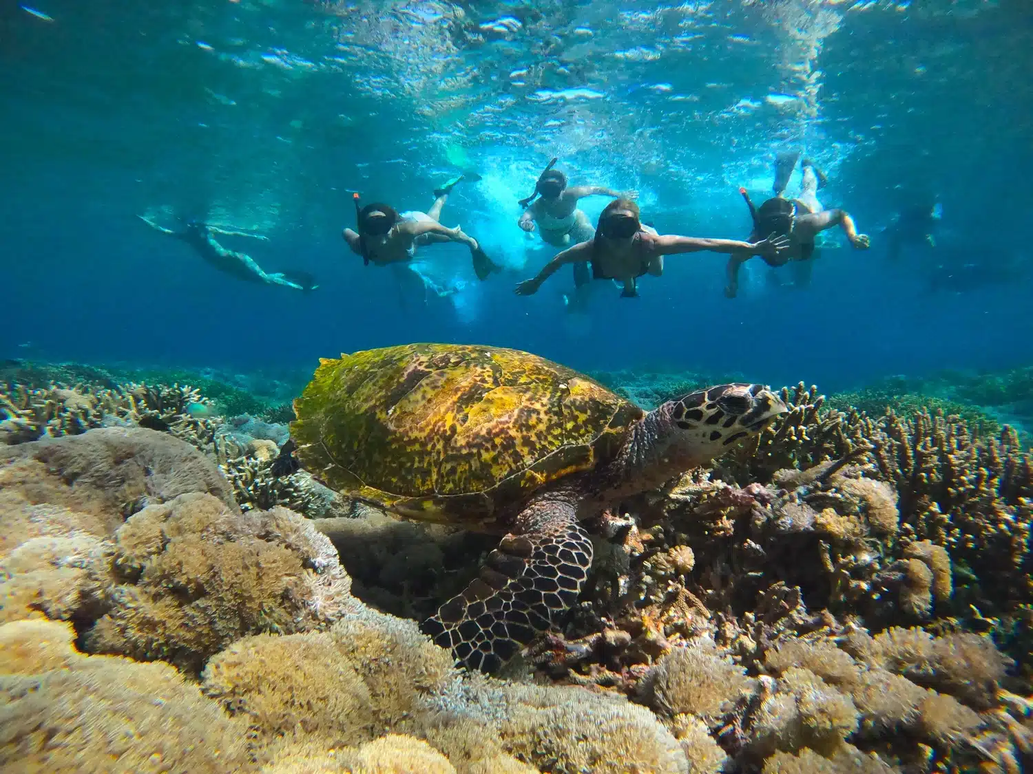 shared trip to komodo national park